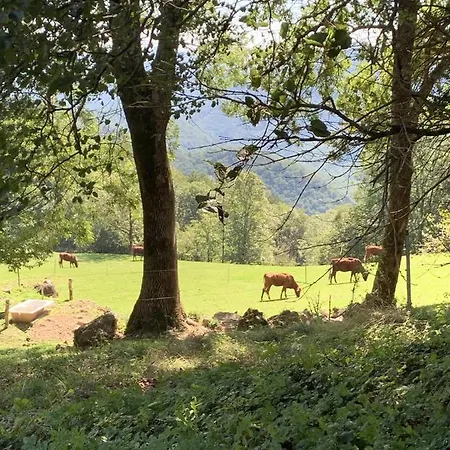 El Mirador De * Llanars